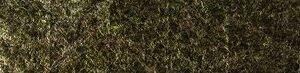 Crispy Seaweed
